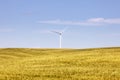 Wind Turbine farm and a real farm, Alberta Canada Royalty Free Stock Photo