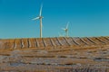 Wind turbine farm. Red Deer County, Alberta, Canada Royalty Free Stock Photo