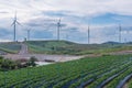 Wind Turbine farm sitting on the Strawberry farmland