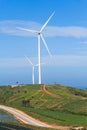 Wind Turbine farm sitting on the Strawberry farmland