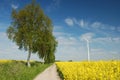 Wind turbine on field of oilseed Royalty Free Stock Photo