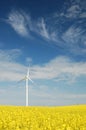 Wind turbine on field of oilseed Royalty Free Stock Photo