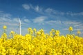 Wind turbine on field of oilseed Royalty Free Stock Photo