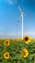 Wind turbine generating power spinning blades in the sunflower field on sunny windy day