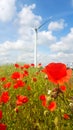 Wind turbine on idyllic summer meadow landscape with poppies, daisies and blue sky Royalty Free Stock Photo