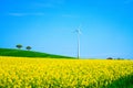 Wind turbine in a landscape with a blooming rapeseed field Royalty Free Stock Photo