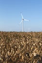 Wind Turbine Maize Field Blue Sky