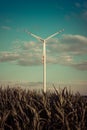 wind turbine over cornfield Royalty Free Stock Photo