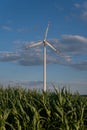 wind turbine over cornfield Royalty Free Stock Photo