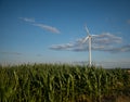 wind turbine over cornfield Royalty Free Stock Photo