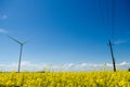 Wind turbine and power line support in yellow rapeseed field, background of sky and clouds, source of alternative energy Royalty Free Stock Photo