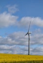 Wind turbine in a Rape Seed Field Royalty Free Stock Photo