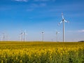 Wind turbine on a rapeseed field that is blooming Royalty Free Stock Photo