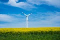 Wind Turbine  in rapeseed field Royalty Free Stock Photo