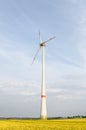 Wind turbine on a rapeseed field Royalty Free Stock Photo