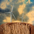 Wind turbine with rice paddy foreground, Sustainable