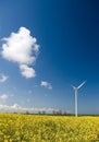 Wind turbine, yellow field. Royalty Free Stock Photo