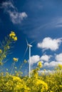 Wind turbine, yellow field. Royalty Free Stock Photo