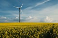 Wind turbine in a yellow field Royalty Free Stock Photo