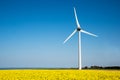 Wind turbine in a yellow flower field of rapeseed Royalty Free Stock Photo