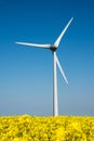 Wind turbine in a yellow flower field Royalty Free Stock Photo