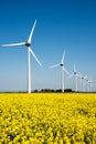 Wind turbine in a yellow flower field Royalty Free Stock Photo