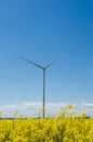 Wind turbine in yellow rapeseed field, background of blue sky and beautiful white clouds, source of alternative energy Royalty Free Stock Photo