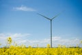 Wind turbine in yellow rapeseed field, background of blue sky and beautiful white clouds, source of alternative energy Royalty Free Stock Photo