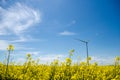 Wind turbine in yellow rapeseed field, background of blue sky and beautiful white clouds, source of alternative energy Royalty Free Stock Photo