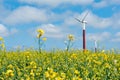 Wind turbine in yellow rapeseed field on a sunny day Royalty Free Stock Photo