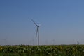 Wind turbines and agricultural field. Energy production, clean and renewable energy Royalty Free Stock Photo