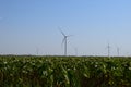 Wind turbines and agricultural field. Energy production, clean and renewable energy Royalty Free Stock Photo