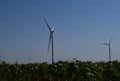 Wind turbines and agricultural field. Energy production, clean and renewable energy Royalty Free Stock Photo