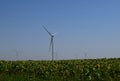 Wind turbines and agricultural field. Energy production, clean and renewable energy Royalty Free Stock Photo