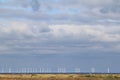 Wind turbines along the Swedish coast Royalty Free Stock Photo