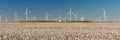 Wind Turbines Alternative Energy Texas Cotton Field Agriculture