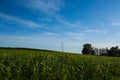 Wind turbines in Bavaria, blue sky, a flower meadow in the foreground Royalty Free Stock Photo