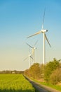 Wind turbines on the beautiful autumn meadow