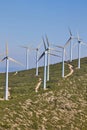 Wind turbines on beautiful sunny summer mountain landscape