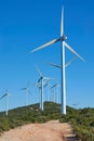 Wind turbines on beautiful sunny summer mountain landscape