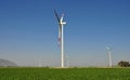 Wind turbines behind cotton fields