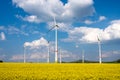 Wind turbines in a blooming canola field Royalty Free Stock Photo