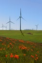 Wind Turbines and California Poppies