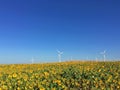 Wind Turbines In China Royalty Free Stock Photo