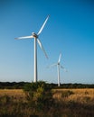 Wind Turbines in Corn Field Royalty Free Stock Photo