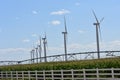 Wind Turbines in Corn Field Royalty Free Stock Photo