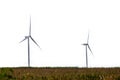 Wind Turbines in a corn field on a white Royalty Free Stock Photo