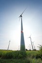 Wind turbines on a cornfield in backlight against a blue sky with a sun star, renewable energy concept in northern Germany, copy