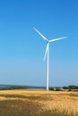 Wind turbines in a cornfield in rural landscapes Royalty Free Stock Photo