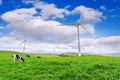 Wind Turbines and Cow on Green Meadow. Royalty Free Stock Photo